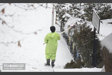 روز برفی تهران 26