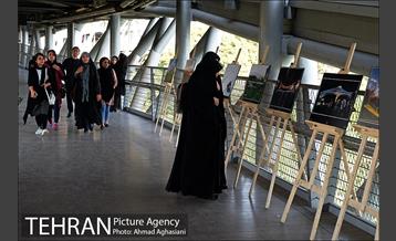 نمایشگاه “طبیعت تهران” بر روی پل طبیعت 3