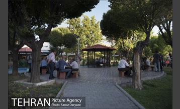 بوستان شقایق 10