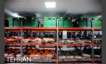 شبگردی اصحاب رسانه به میزبانی منطقه 6 27