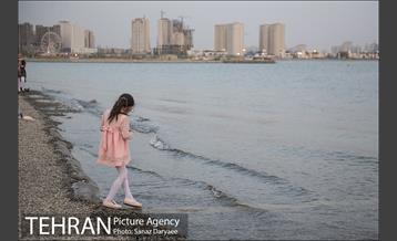 دریاچه شهدای خلیج فارس 14