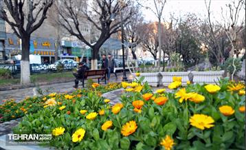 استقبال از بهار - 5 4