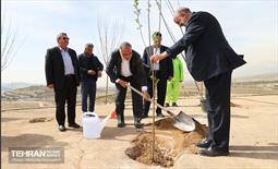 بهره‌برداری از فاز دوم طرح جنگلکاری کمربند سبز 14