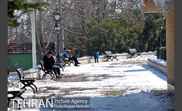 فصل زمستان در بوستان ملت 15
