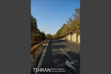 پارک جنگلی چیتگر 18