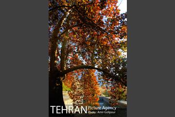پاییز در روستای ازگی 8