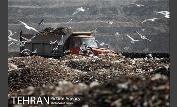 بازدید پذیرفته شدگان در آزمون دستیاران مدیرشهرداری تهران از مرکز آرادکوه 34