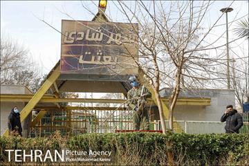 آغاز فصل هرس درختان- 3