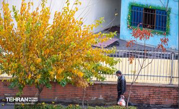 سمفونی رنگ های پاییزی  29