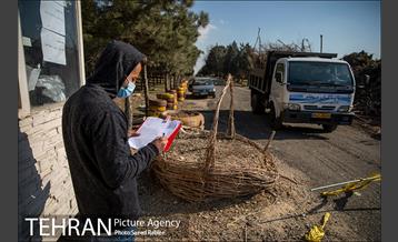 تولید کود کمپوست در پارک جنگلی آزادشهر 1