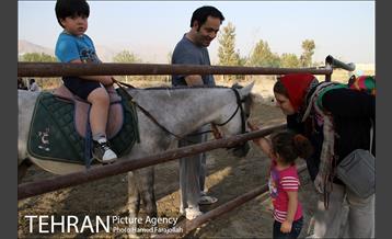 سوارکاری ورزشی برای کودکان‎ 20