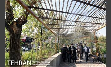 بازدید رییس سازمان بازرسی از  پروژه های منطقه هشت 6