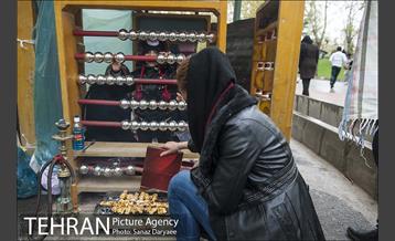 روز طبیعت بارانی در بوستان ملت 4