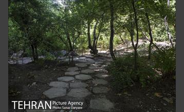 بوستان جمشیدیه‎ 20