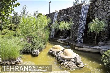 تنفس طبیعت زیبای منطقه ۷ در روزهای حضور کمرنگ شهروندان 5