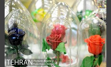 نمایشگاه گل و گیاه در بوستان گفتگو 41