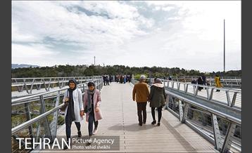 پل طبیعت در تعطیلات نوروز 1