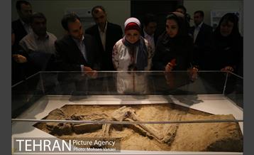 تهرانگردی شهردار بغداد 1