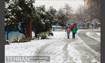 روز برفی تهران در پارک شهر 5