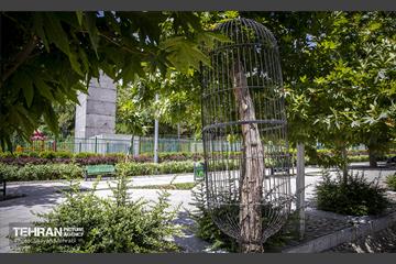 جان دوباره در درختستان 21