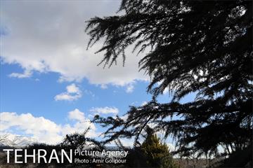 هوای پاک تهران 13