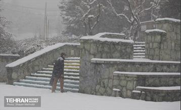 بارش برف زمستانی در تهران 20