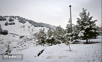 درکه پس از بارش برف  4