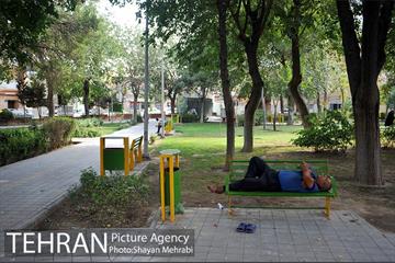 بوستان هفت چنار 23