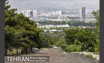 پارک چیتگر 18