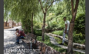 بوستان نهج البلاغه 39