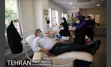 پویش سه شنبه های بدون خودرو 23