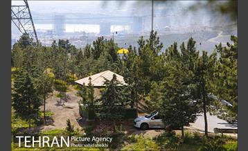 بوستان جنگلی کوهسار 10