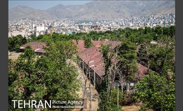 از پادگان تا بوستان 6
