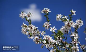 و اینک بهار 14