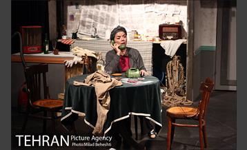 نمایش اثر پرتوهای گاما بر گل های همیشه بهار 4