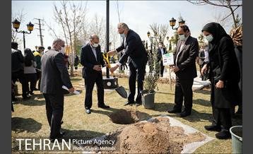 مراسم کاشت درخت صلح و دوستی 24