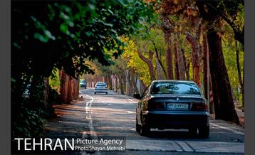 بوستان جنگلی چیتگر 21