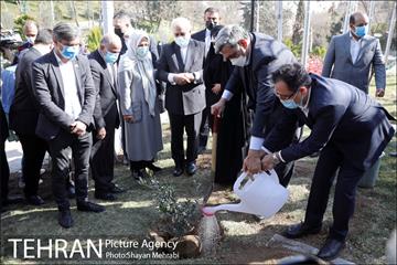 آیین کاشت نهال دوستی با حضور همسران دیپلمات مقیم ایران 21