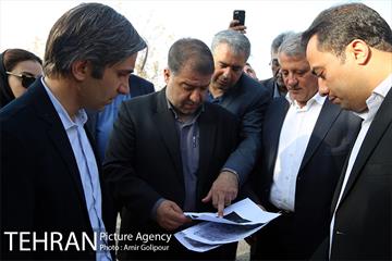 بازدید رئیس شورای شهر تهران از بوستان جنگلی چیتگر 14