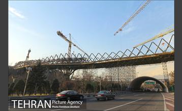 به مناسبت ده سالگی پل طبیعت 24