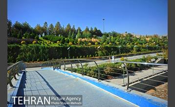 بوستان جوانمردان ایران 5