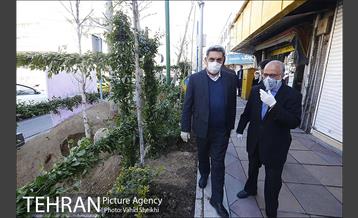 مراسم کاشت درخت در خیابان ولیعصر  13