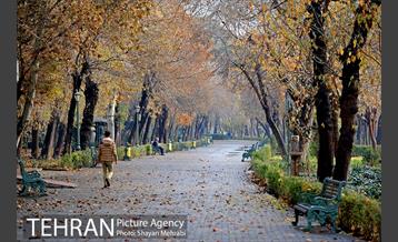 پاییز در پارک شهر 34