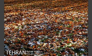 پاییز برفی پارک ملت 13