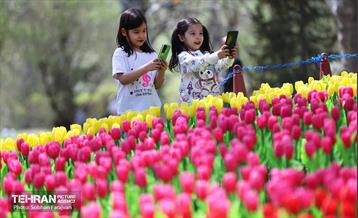 روز طبیعت در بوستان ملت 29