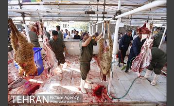 عرضه بهداشتی دام در جایگاه منطقه 2 شهرداری تهران  5