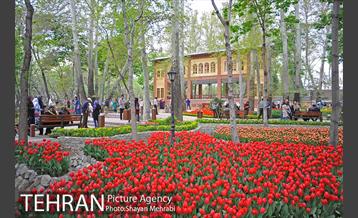 روش گل های لاله در باغ ایرانی 41