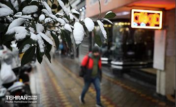 برف چهره تهران را سپیدپوش کرد 43