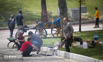 روز طبیعت در بوستان ملت 29