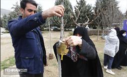 غرس ١٠٠ اصله نهال در دریاچه شهدای خلیج فارس با حضور خانواده شهدای هم محله‌ای 11